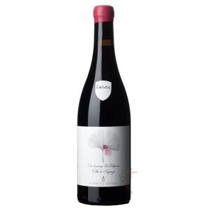 VERONICA ORTEGA CAREO 2024 75cl
